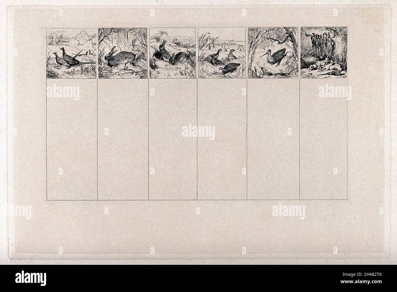Game and hunting, six separate images: two pheasants; a hare; two rabbits; four grouse (?); a snipe (?); two dogs guard a brace of dead game hanging from the branch of a tree. Etching after E.H. Landseer, 1820/1848. Stock Photo