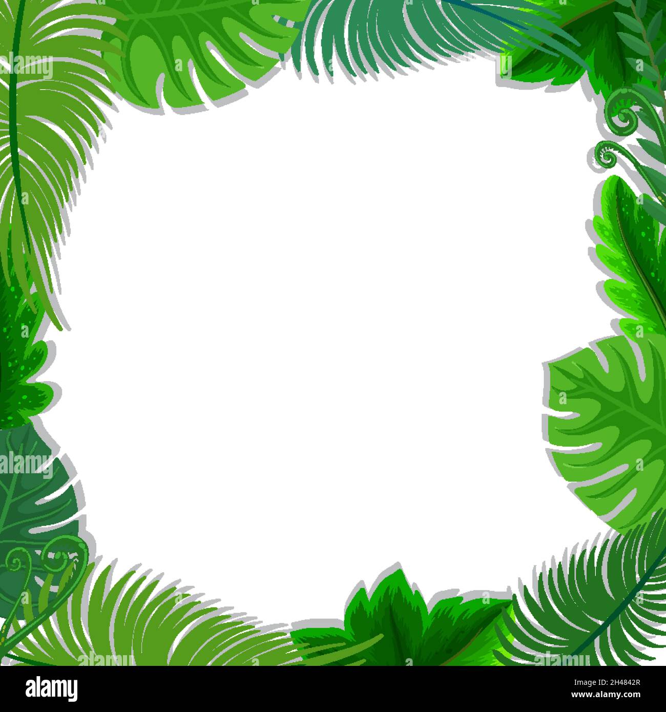 Square frame with tropical green leaves illustration Stock Vector Image ...