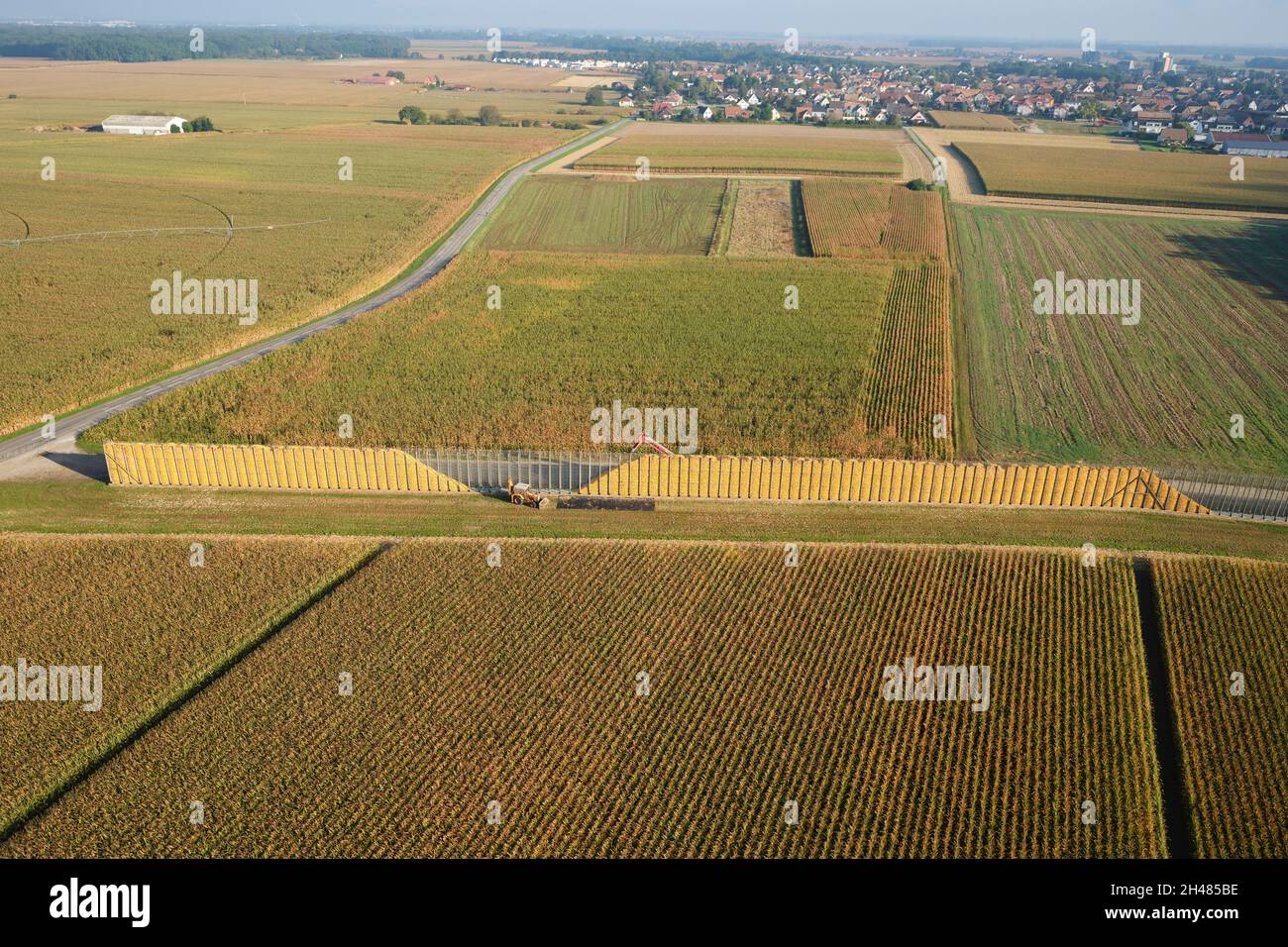 AERIAL VIEW. Corn ears stacked up in a very long crib for natural drying. Sundhoffen, Alsace, Grand Est, France. Stock Photo