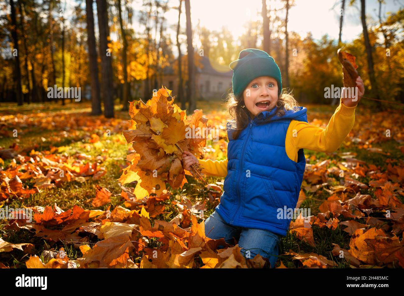 https://c8.alamy.com/comp/2H485MC/adorable-happy-cheerful-baby-girl-in-bright-warm-colorful-clothes-catching-fallen-leaves-playing-in-maple-park-at-sunset-beautiful-child-with-a-bou-2H485MC.jpg