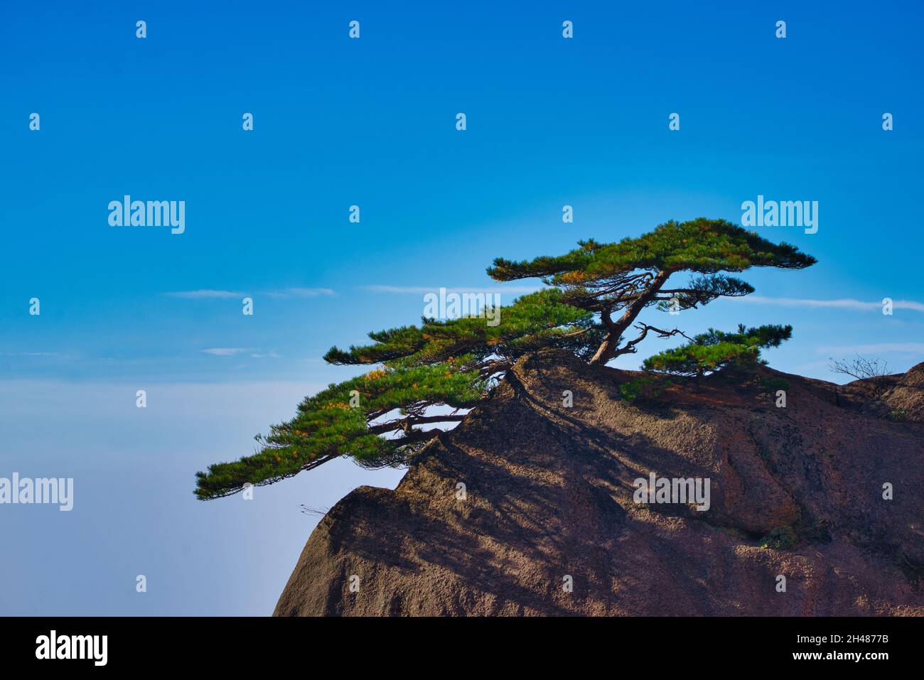 The pine tree on the top of the granite hill. Landscape of Mount Huangshan (Yellow Mountain). UNESCO World Heritage Site. Anhui Province, China. Stock Photo