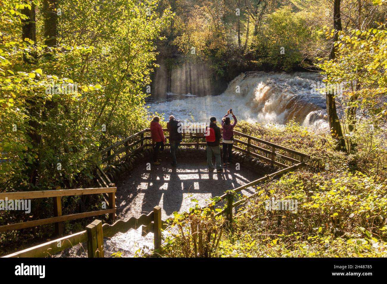 Aysgarth Falls, Middle Falls viewing platform, North Yorkshire, England, UK Stock Photo
