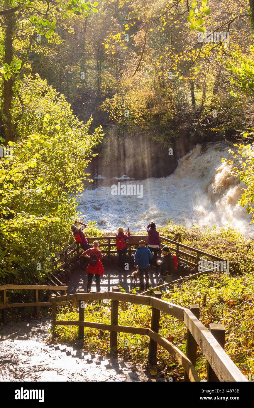 Aysgarth Falls, Middle Falls viewing platform, North Yorkshire, England, UK Stock Photo