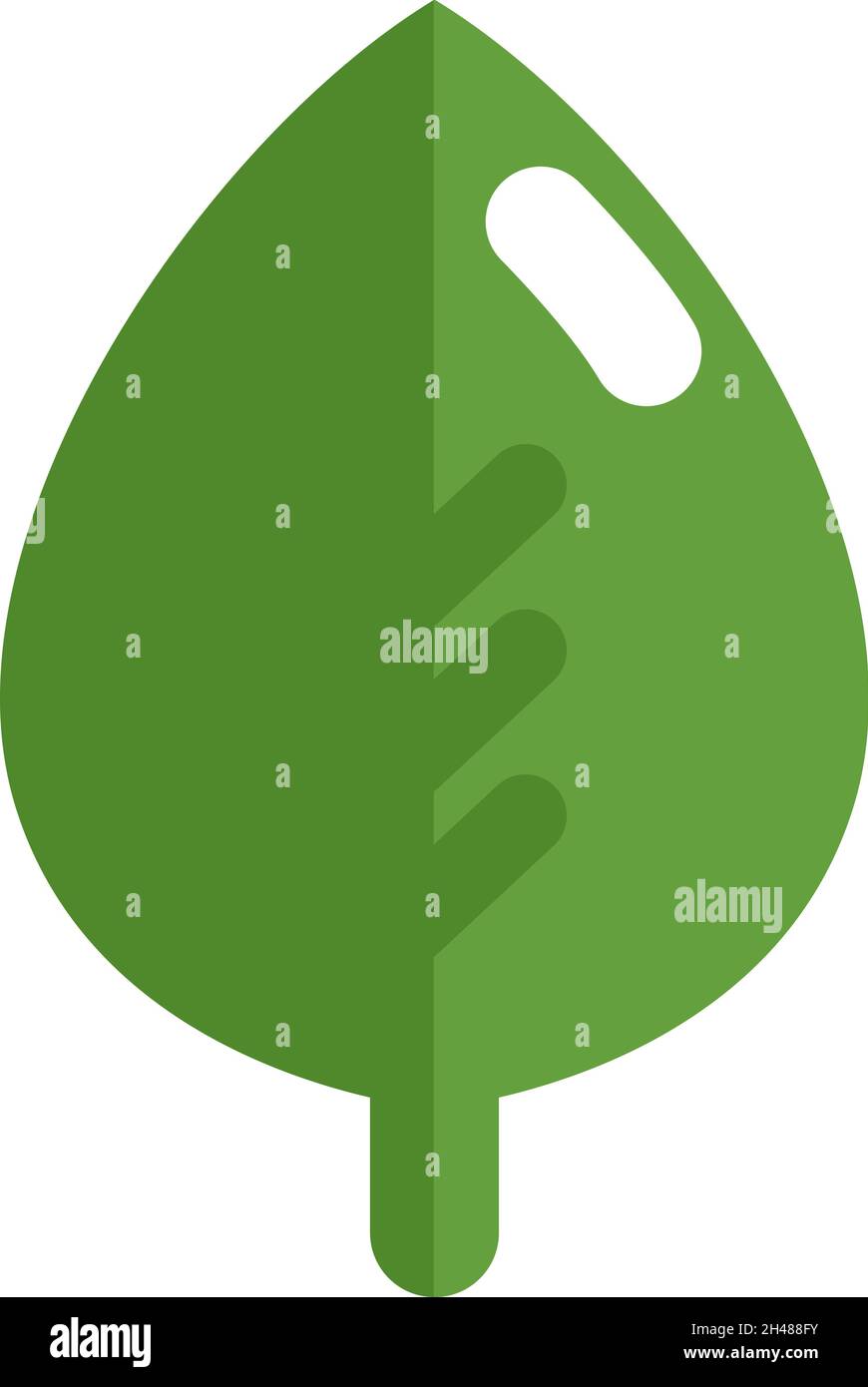 Green spring leaf, illustration, vector, on a white background Stock ...