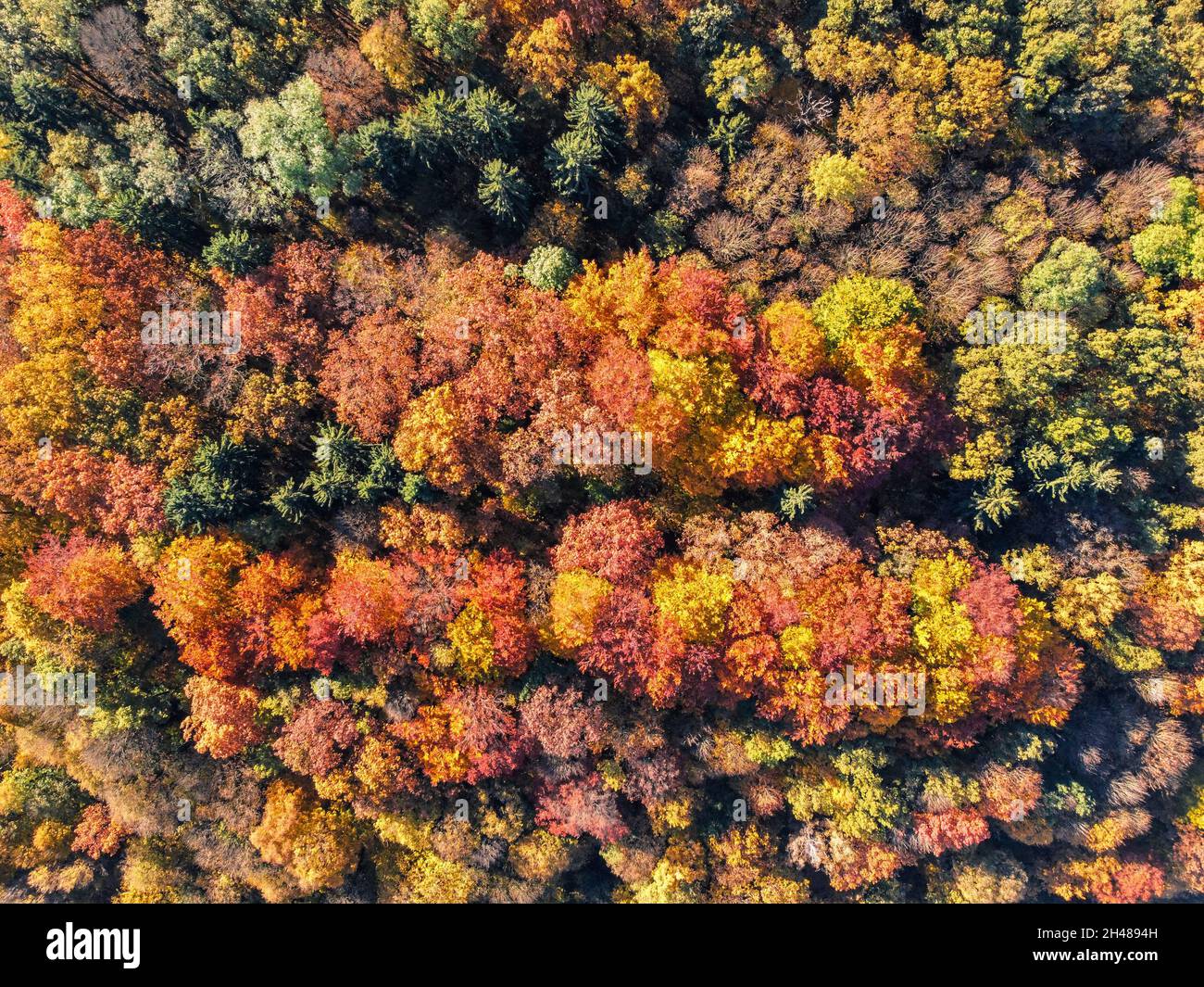 Aerial view of autumn hi-res stock photography and images - Alamy