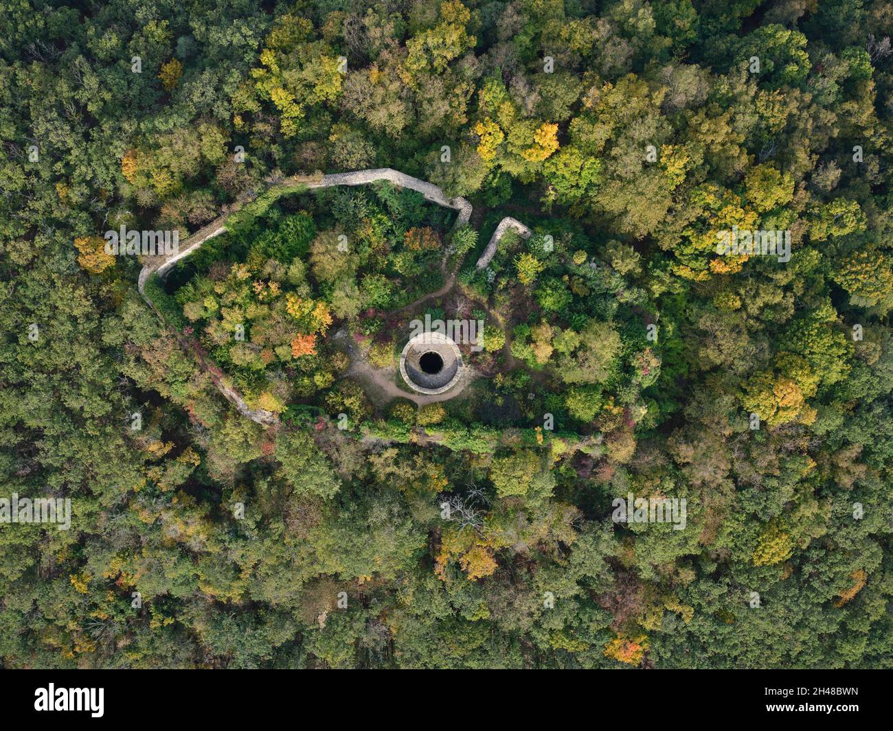 VERTICAL AERIAL VIEW. Ruins of an observation post in the eastern Vosges Mountains. Pflixbourg Castle, Wintzenheim, Alsace, Grand Est, France. Stock Photo