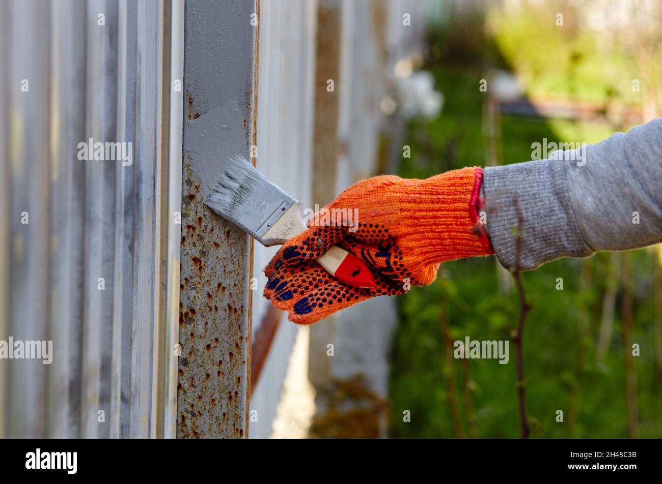 Painting the fence. Woman's hand painting steel fence with a brush Stock Photo