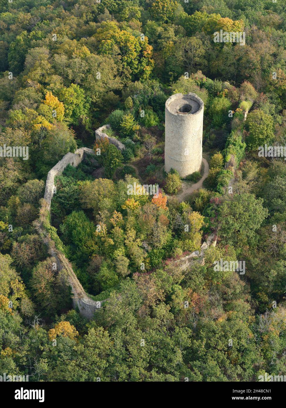 AERIAL VIEW. Ruins of an observation post situated in the eastern Vosges Mountains. Pflixbourg Castle, Wintzenheim, Alsace, Grand Est, France. Stock Photo