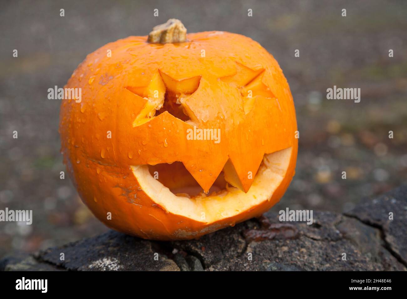 Pumpkin carved with a face for Halloween Stock Photo - Alamy