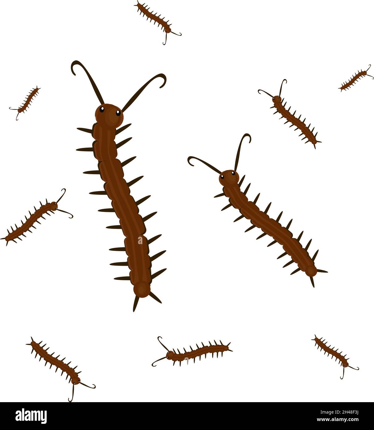 Long centipede, illustration, vector on a white background. Stock Vector