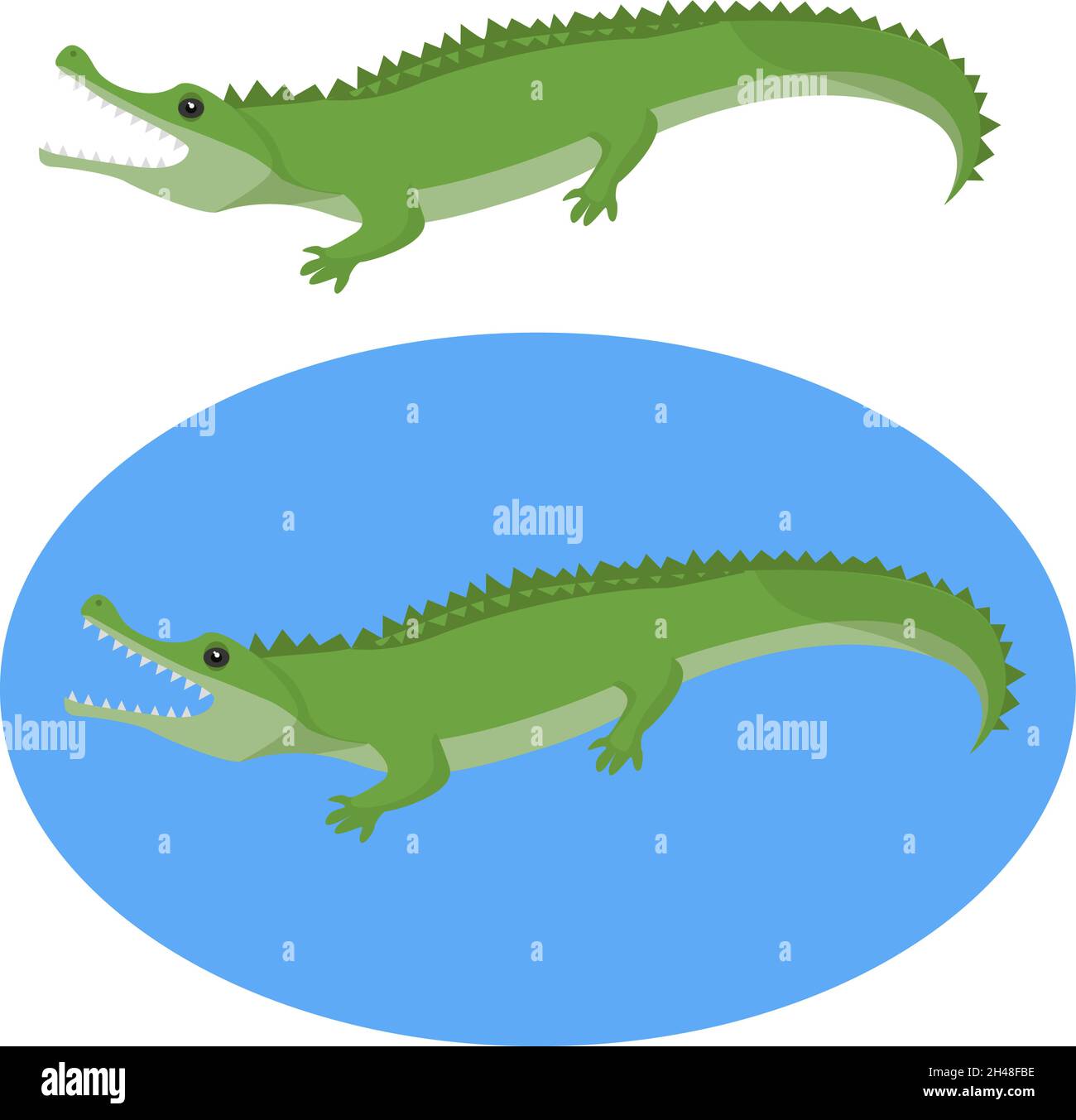 Alligator animal, illustration, vector on a white background. Stock Vector