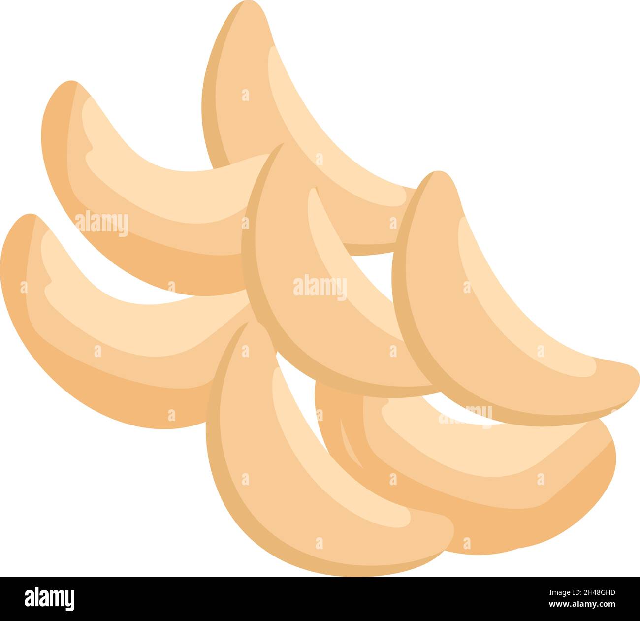 Cashew, illustration, vector on a white background Stock Vector Image ...