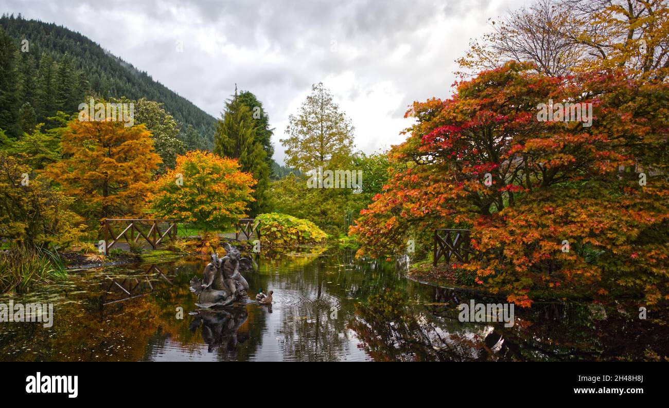 Benmore Botanic Garden Stock Photo