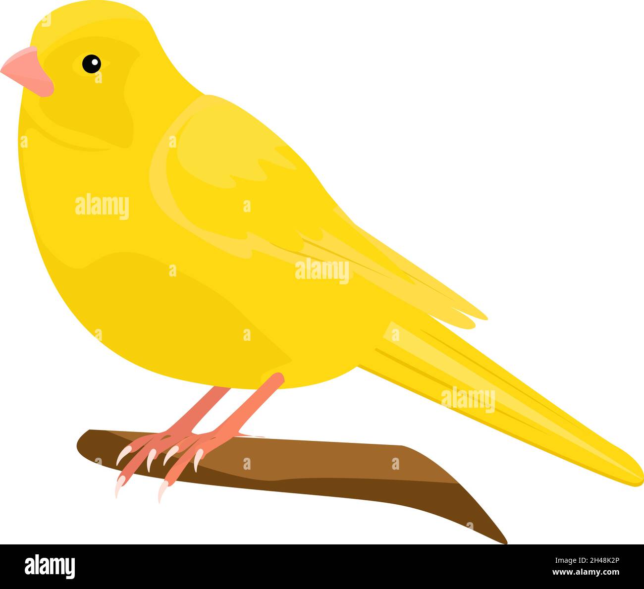 Yellow canary, illustration, vector on a white background. Stock Vector