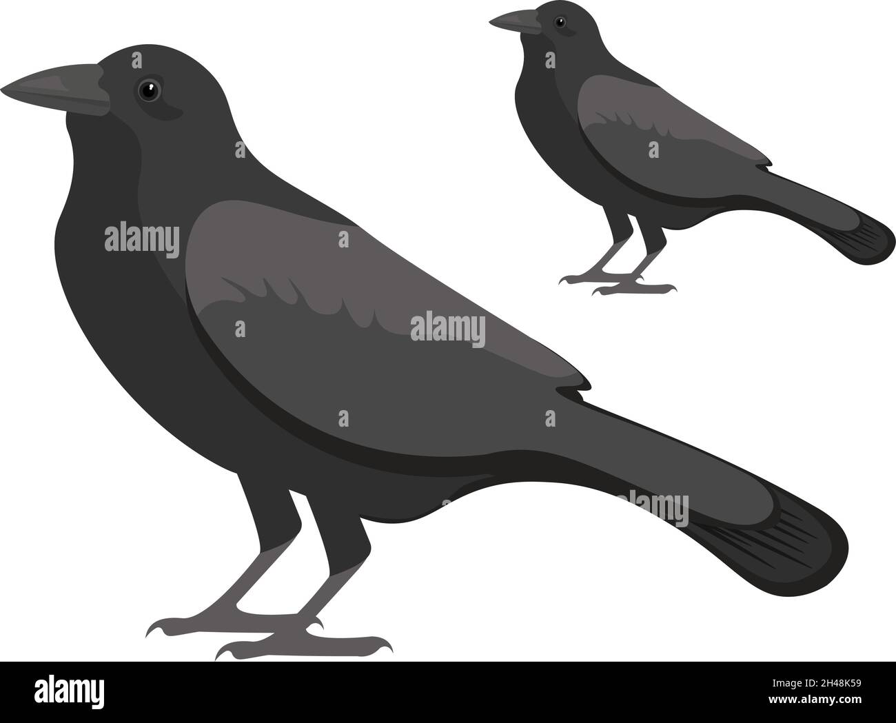 Crows vector vectors hi-res stock photography and images - Alamy