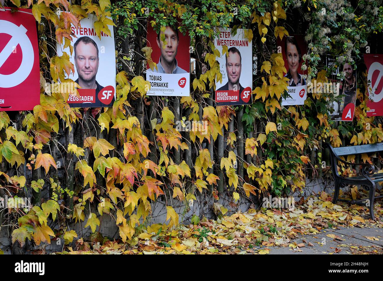 Copenhagen /Denmark / 01 November 2021 / Local council and county ...