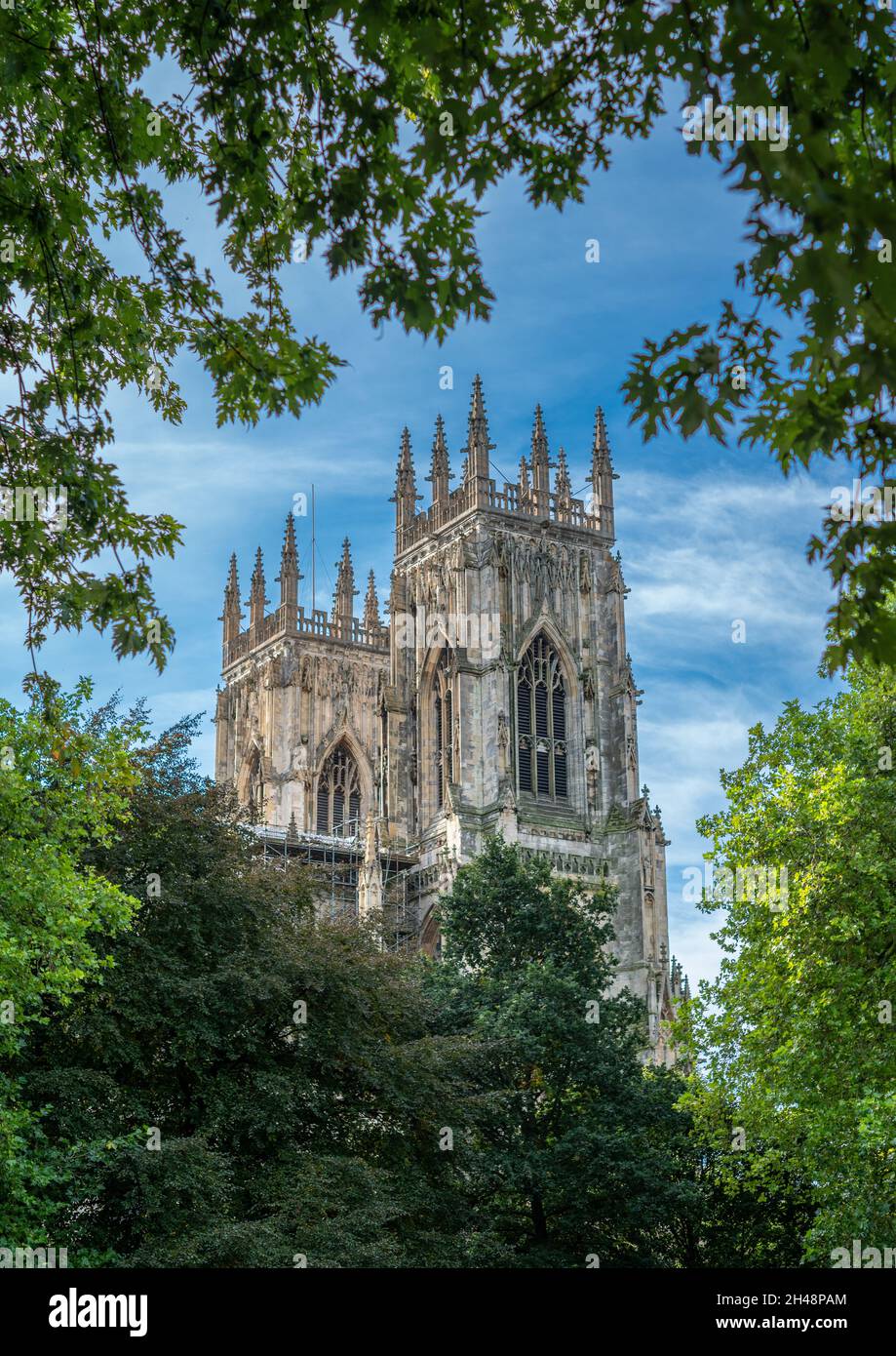 York, Yorkshire, England, 8th October 2021 - York Minster Towers viewed through green trees with a blue sky background. Stock Photo