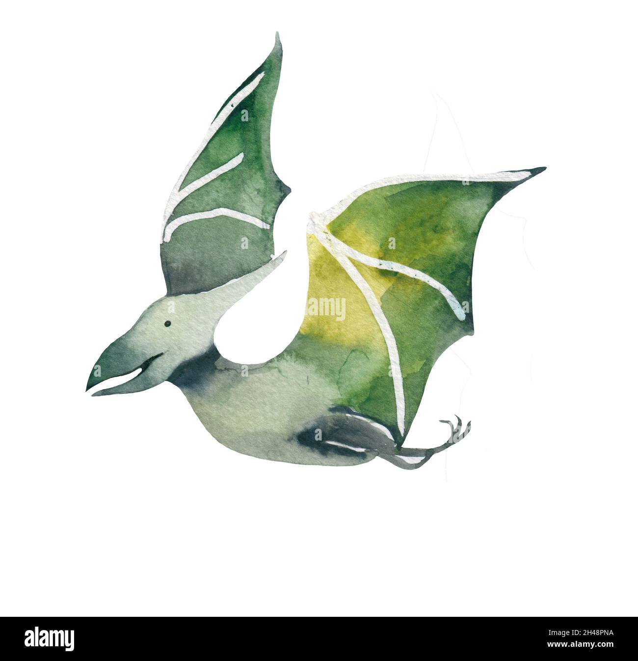 Pterodactyl watercolor Dinosaur isolated on white. Hand drawn cute ...