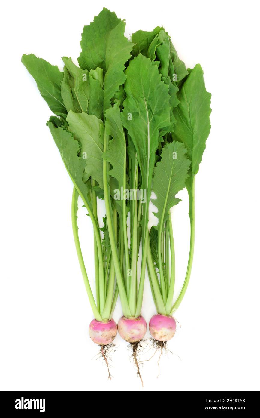 Fresh organic turnip vegetables with leaves and roots for digestive