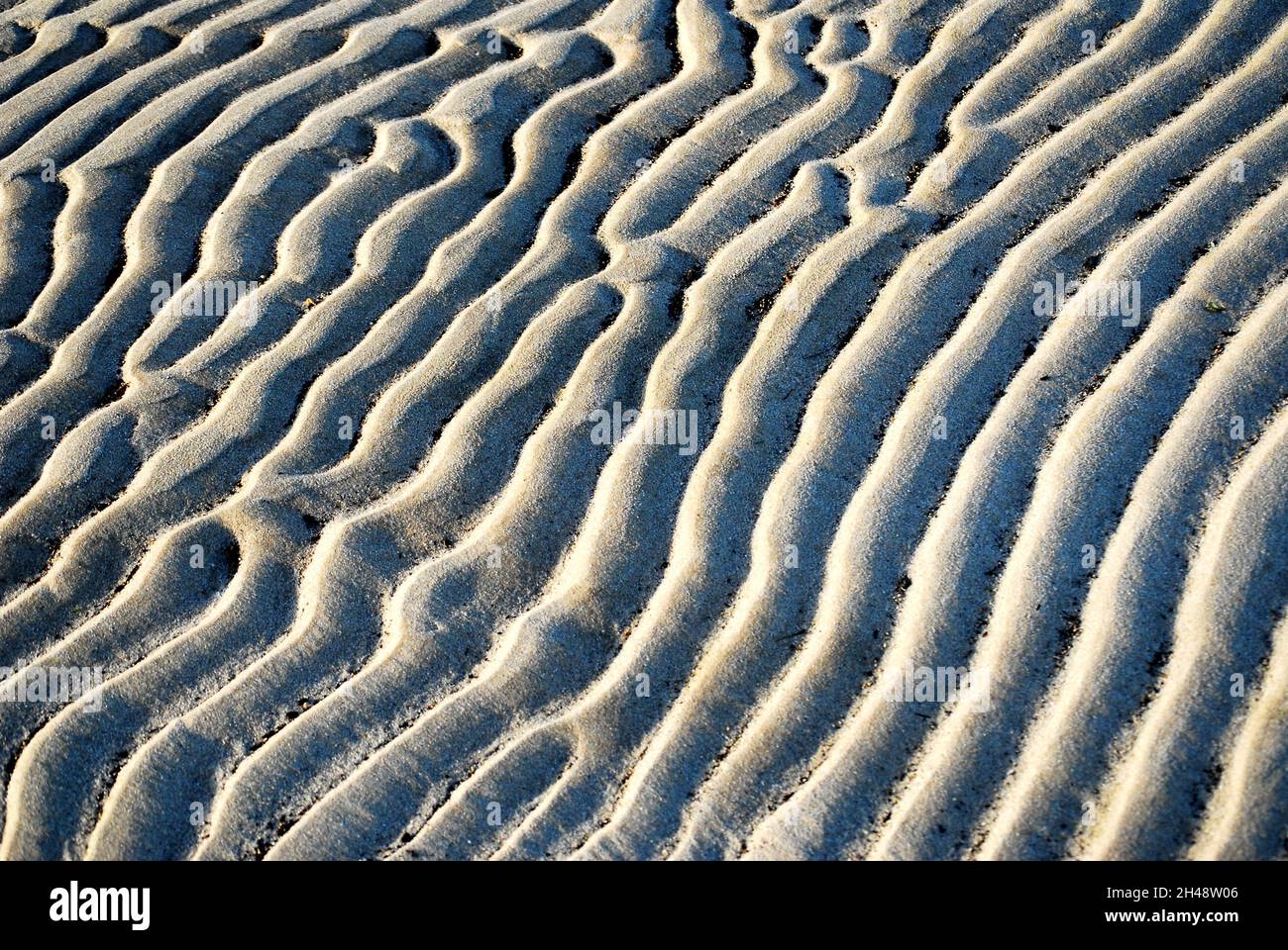 Tracks in the sand Sylt Island Low Tide Stock Photo