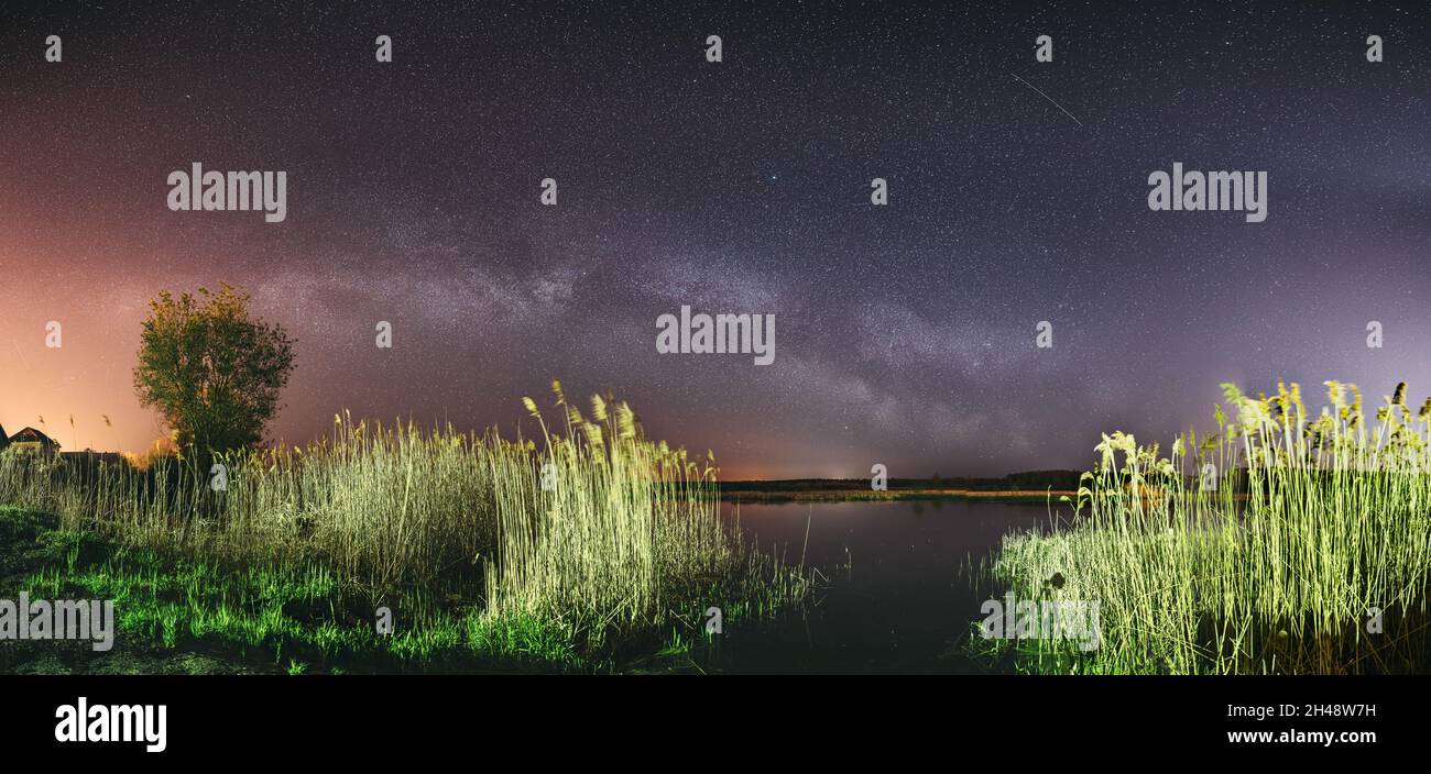 Milky Way Galaxy In Night Starry Sky Above Young Green Lonely Tree And ...