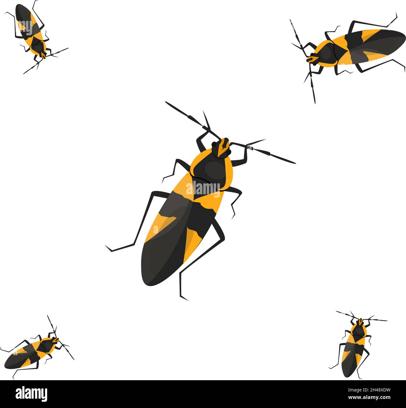 Milkweed bug macro Stock Vector Images - Alamy