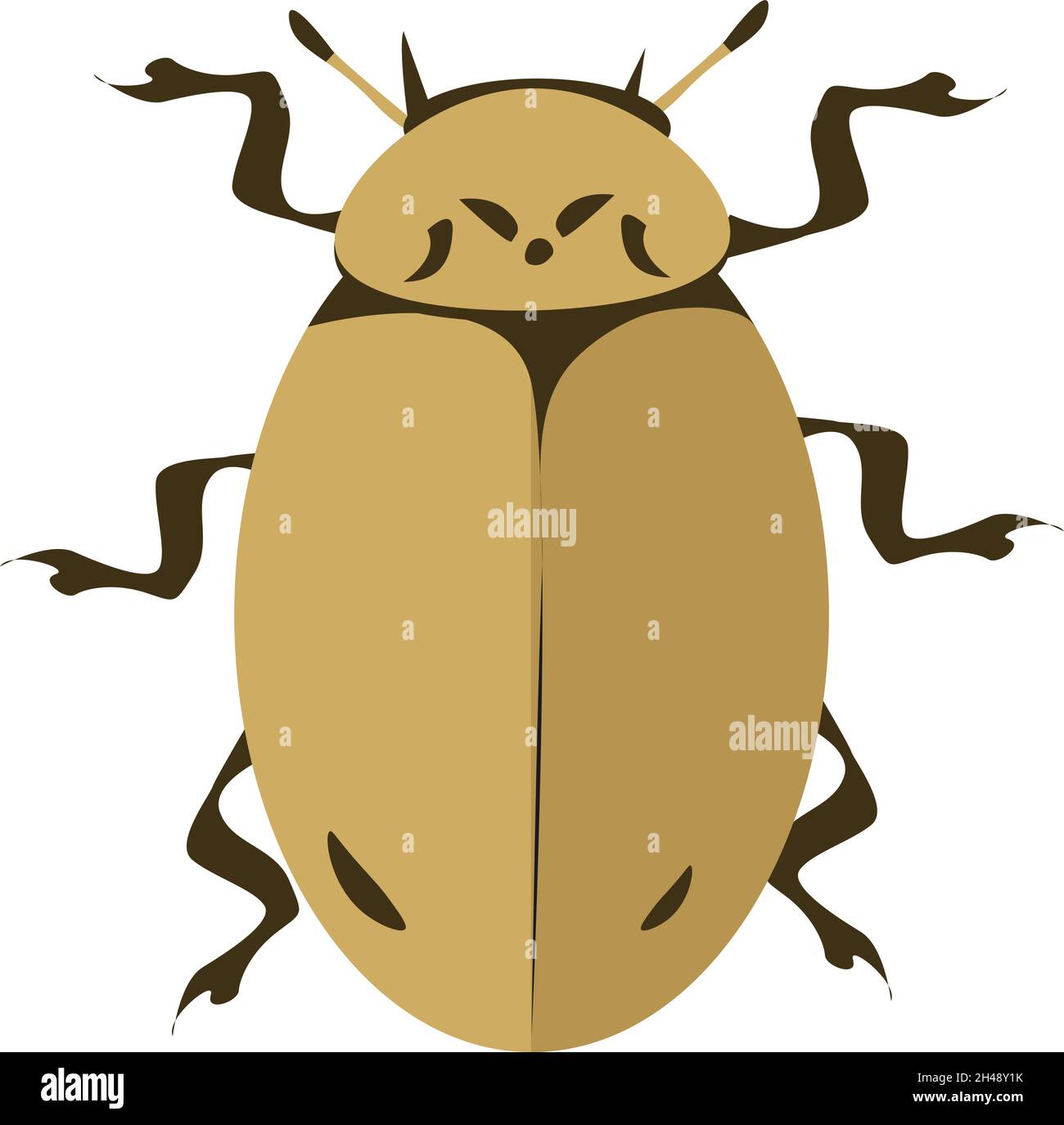 Larch ladybug, illustration, vector on a white background. Stock Vector