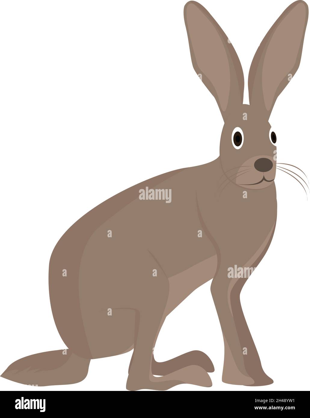 Jack rabbit, illustration, vector on a white background Stock Vector