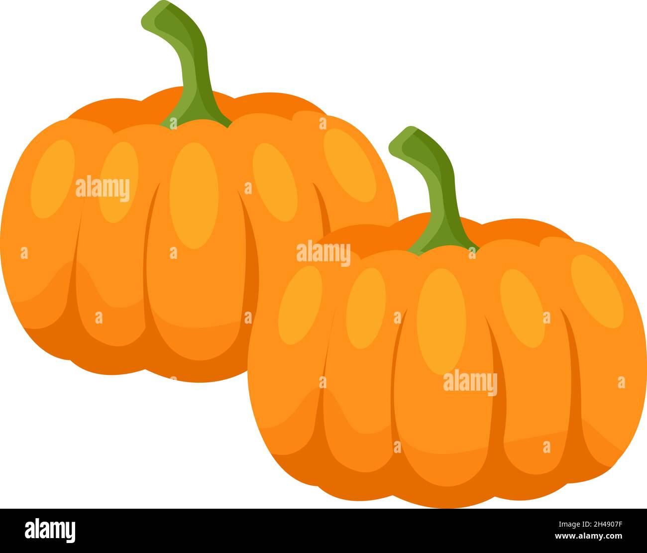 Orange pumpkins, illustration, vector on a white background. Stock Vector
