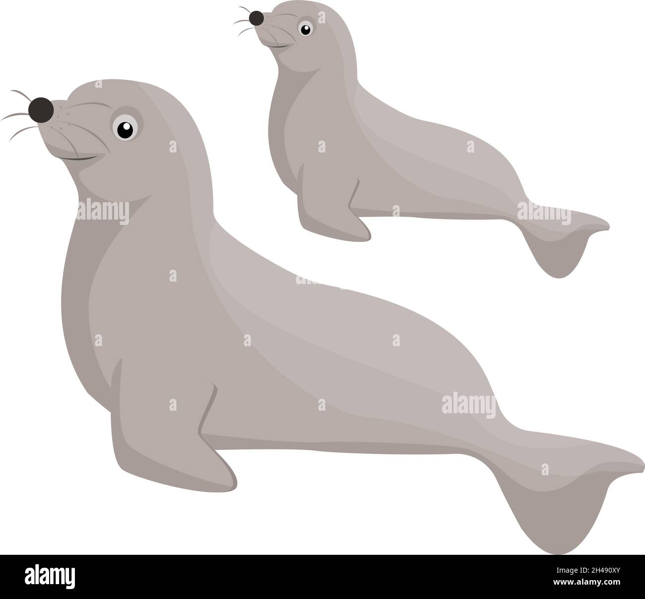 Seal animal, illustration, vector on a white background Stock Vector