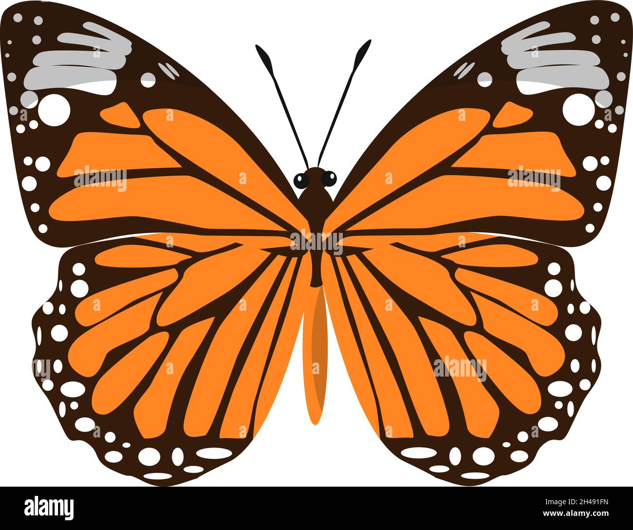 Orange butterfly, illustration, vector on a white background Stock ...