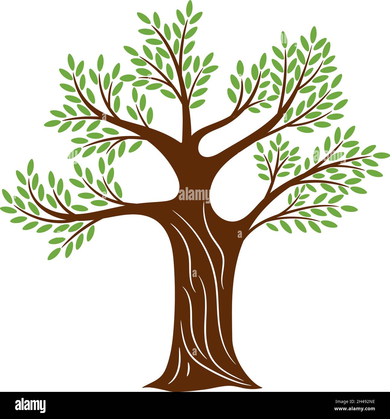 Simple tree clipart. Spring old wood with green leaves vector artwork for  knowledge preservation wisdom traditional life graphic concepts isolated on  white Stock Vector Image & Art - Alamy