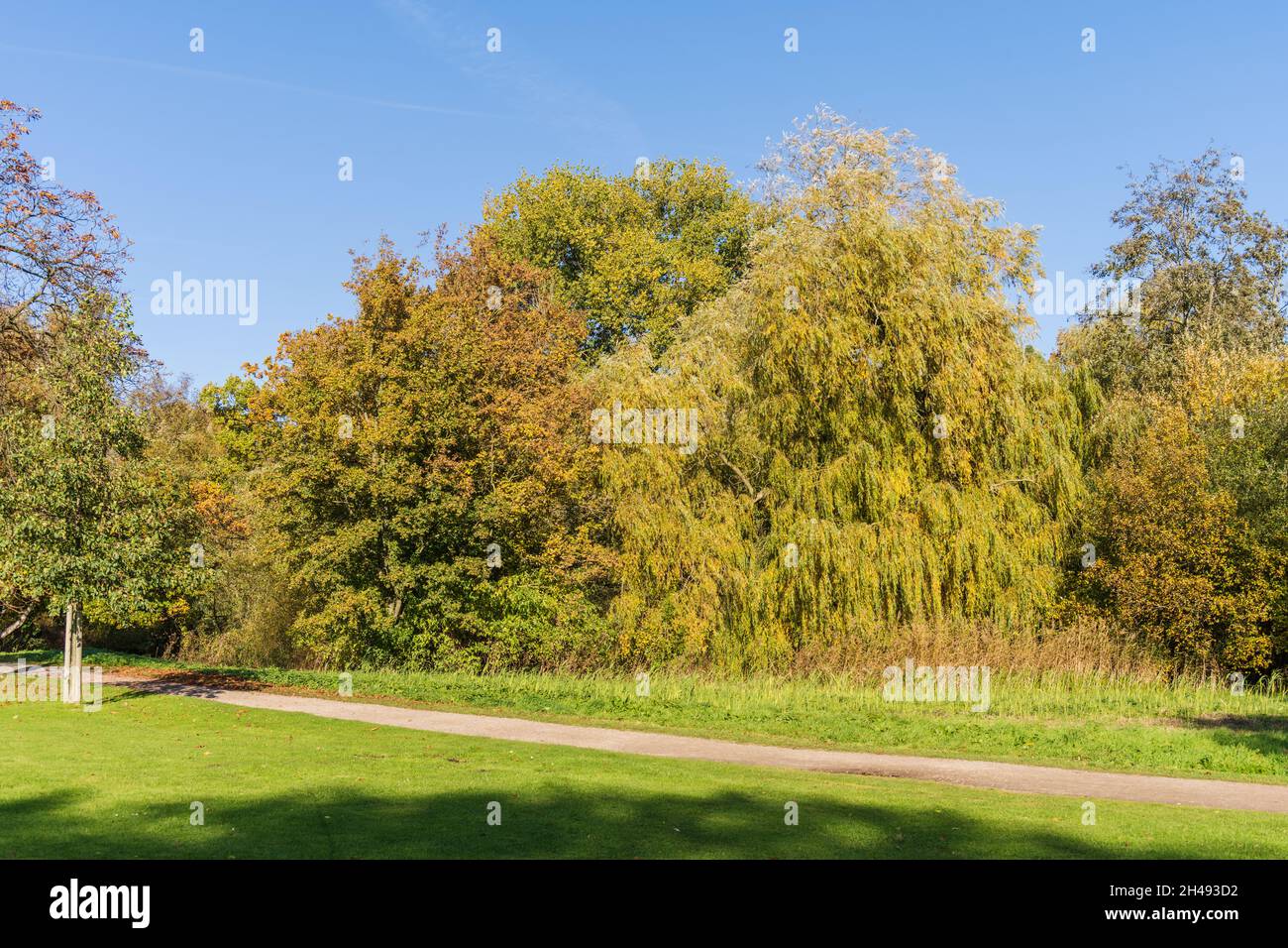 Parkanlage Moorteichwiese in Kiel mit Vegetation in bunten Herbstfarben Stock Photo