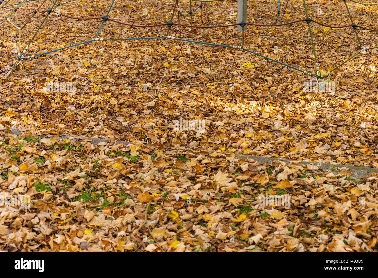Buntes Herbstlaub in einer Parkanlage in Kiel Stock Photo