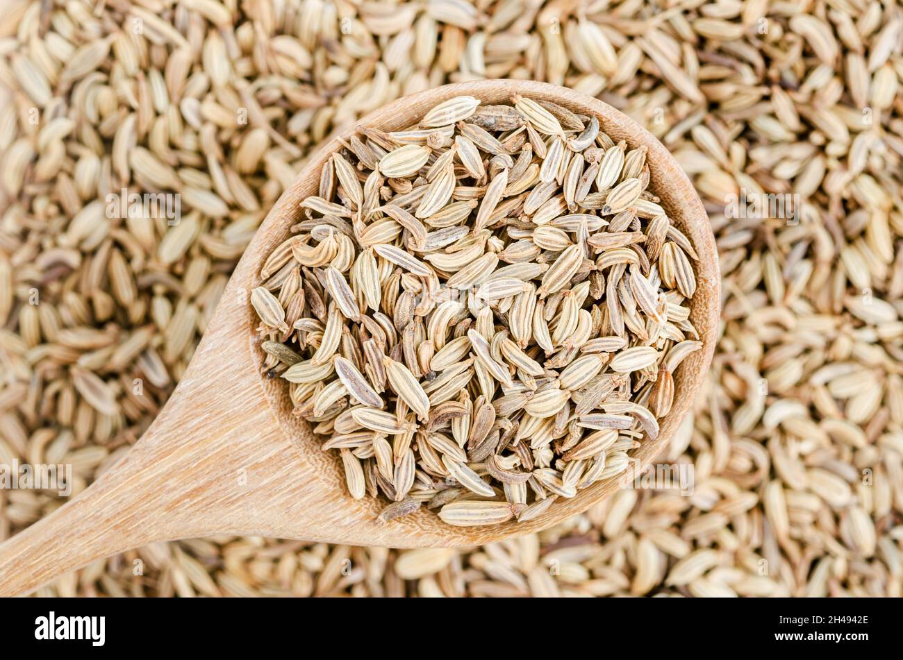 Dried fennel seeds in wooden spoon on fennel background Stock Photo Alamy