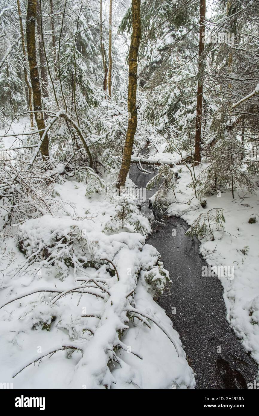 Frozen stream in boreal hi-res stock photography and images - Alamy