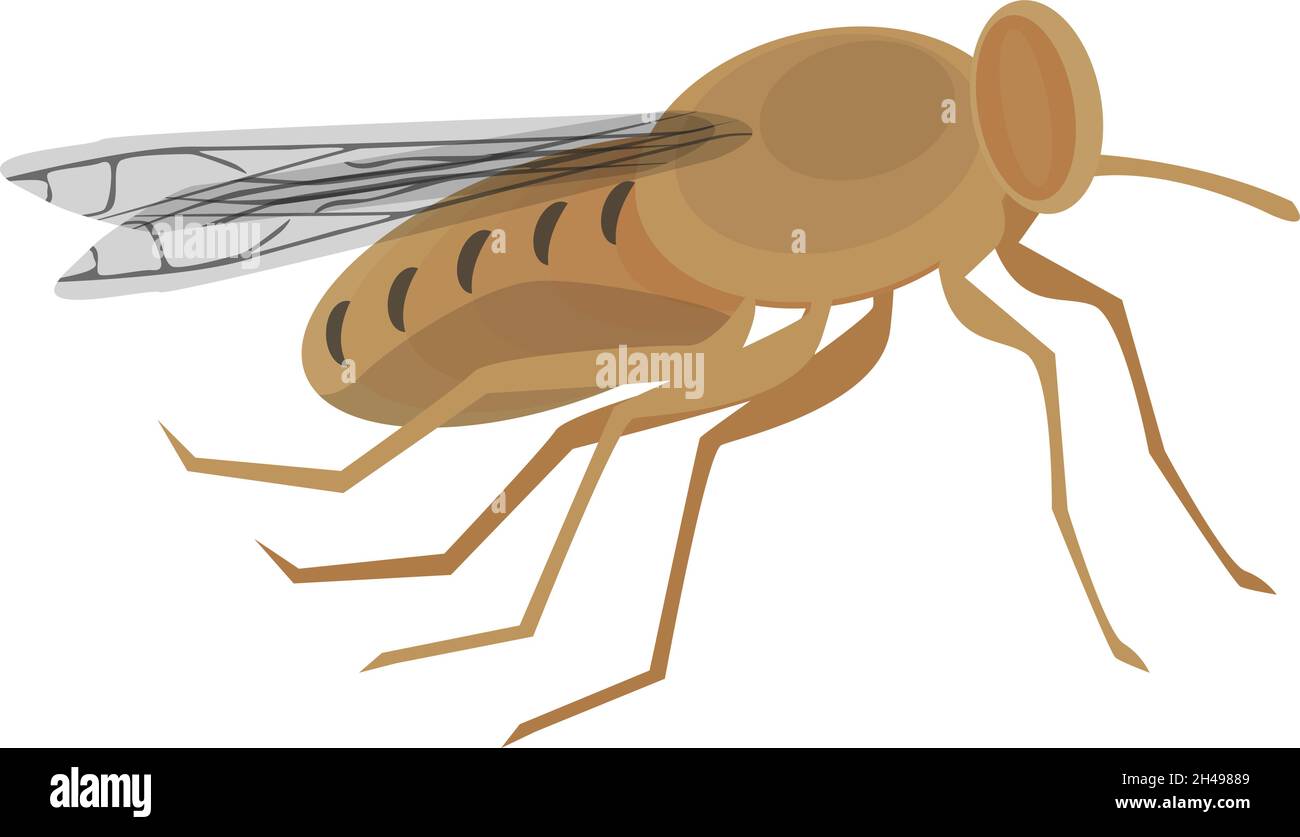 Brown fly, illustration, vector on a white background. Stock Vector