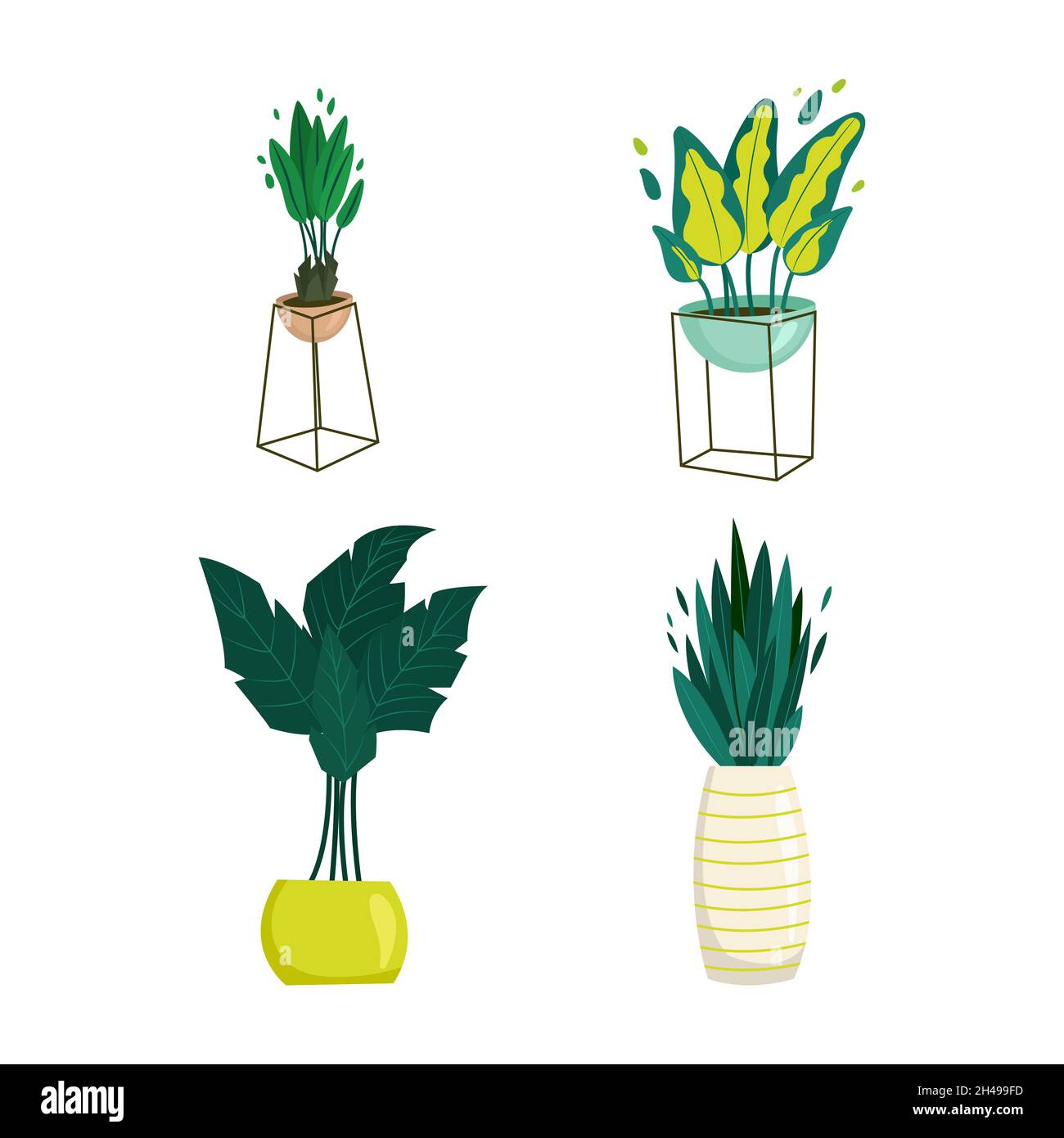 Houseplants in pots set in flat style. Vector cartoon illustration ...