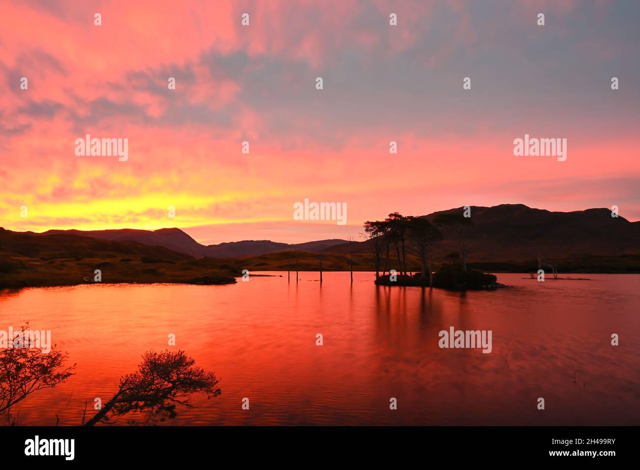 Stunning sunrise over Loch Assynt in Sutherland, Scottish Highlands. On NC500 route. Silhouettes of trees on island on loch, hills in background. Stock Photo