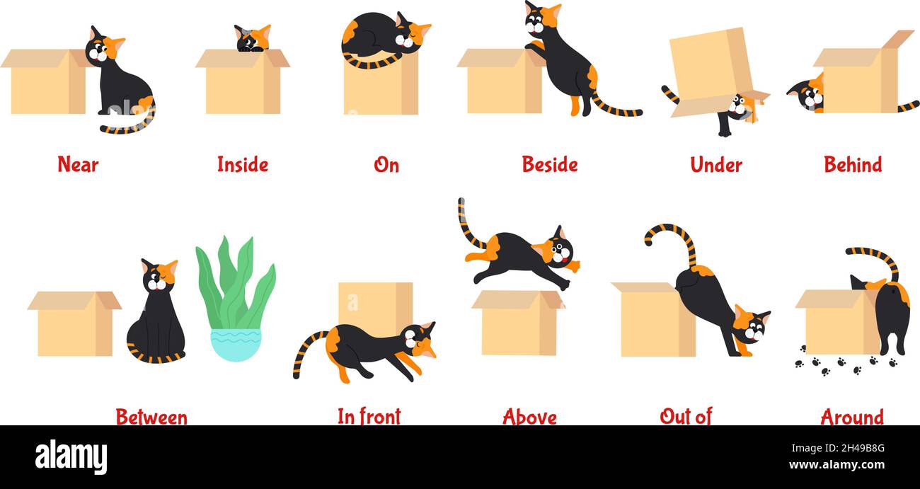 Preposition. Learning english prepositions with cute cat. Preschool educational poster with cartoon pet, language grammar study decent vector banner Stock Vector Image & Art - Alamy Preposition. Learning english prepositions with cute cat. Preschool educational poster with cartoon pet, language grammar study decent vector banner Stock Vector Image & Art - Alamy