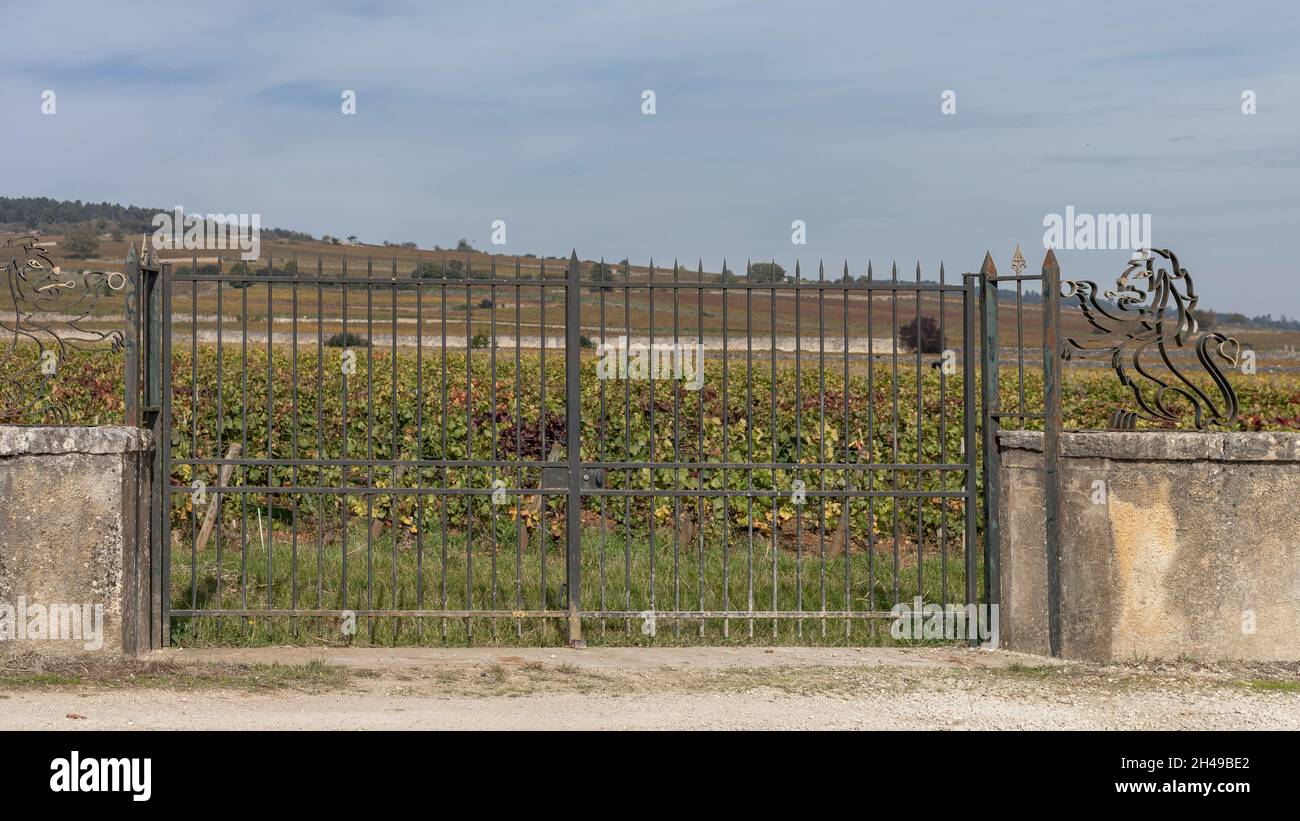 Entrance Gateway Vineyard High Resolution Stock Photography and Images
