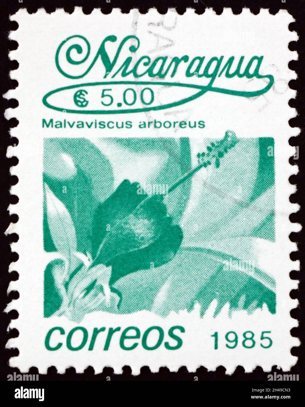 NICARAGUA - CIRCA 1986: a stamp printed in Nicaragua shows Turkcap (malvaviscus arboreus), is a species of flowering plant, circa 1986 Stock Photo