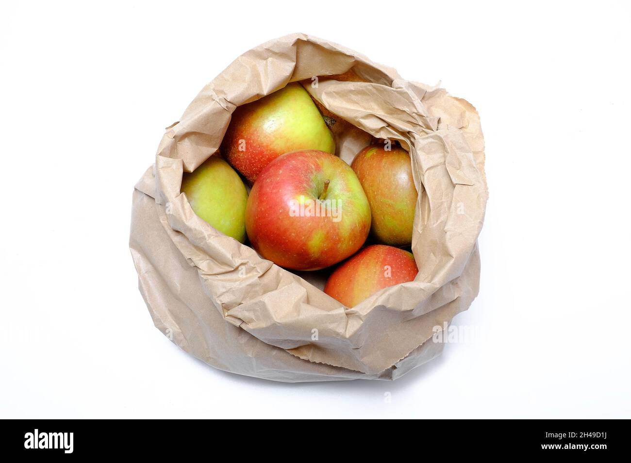 brown paper bag full of braeburn apples on white background, norfolk, england Stock Photo