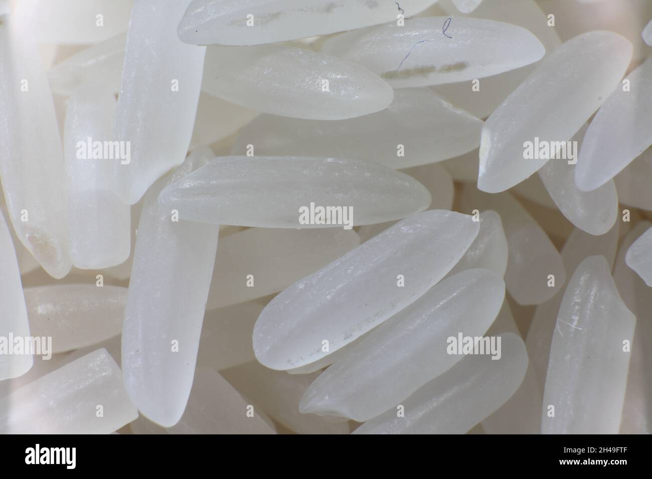 Row Rice Image Raw rice close as background - top view Stock Photo - Alamy