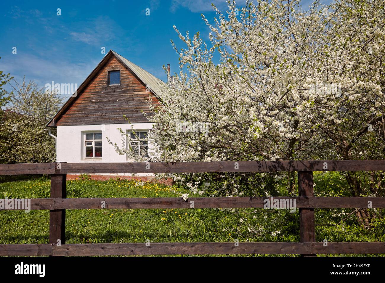 Small house with allotment garden and blossoming apple trees. Kolomenskoye estate, Moscow, Russia. Stock Photo