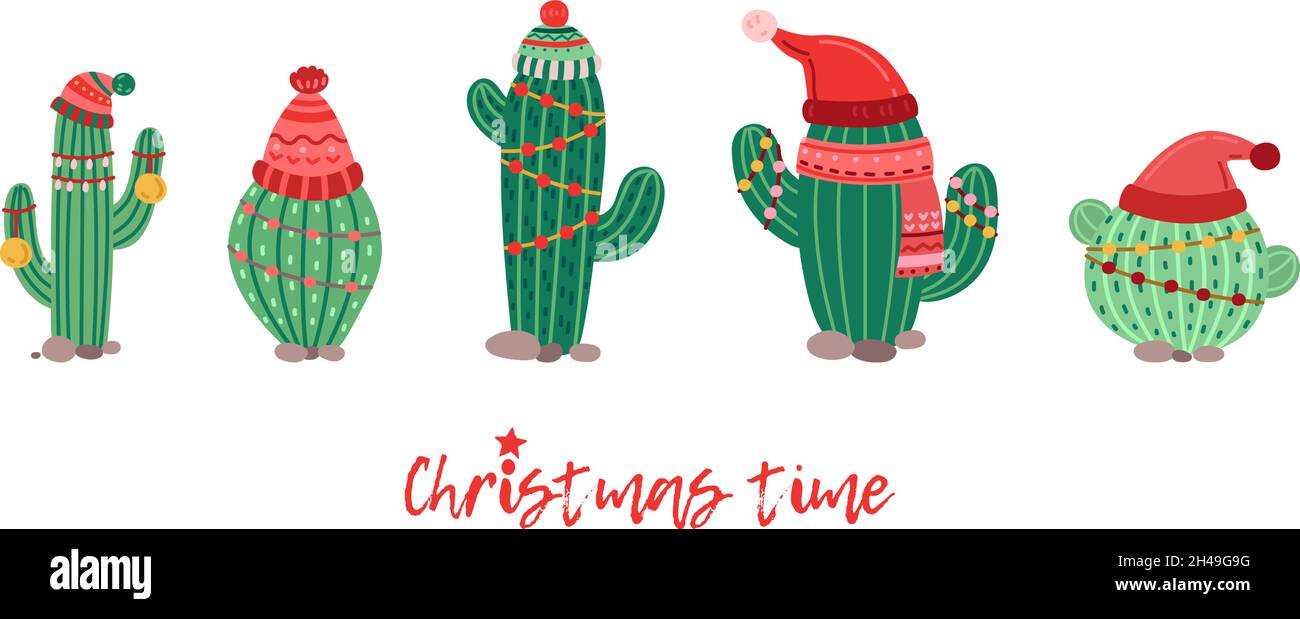 Christmas cactus Stock Vector Images - Alamy