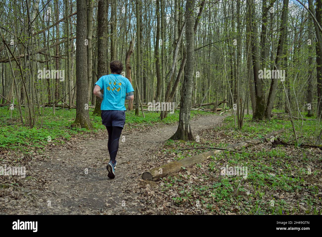 Middle-aged Caucasian man runs along the trail in Bitsevski Park (Bitsa Park). Moscow, Russia. Stock Photo