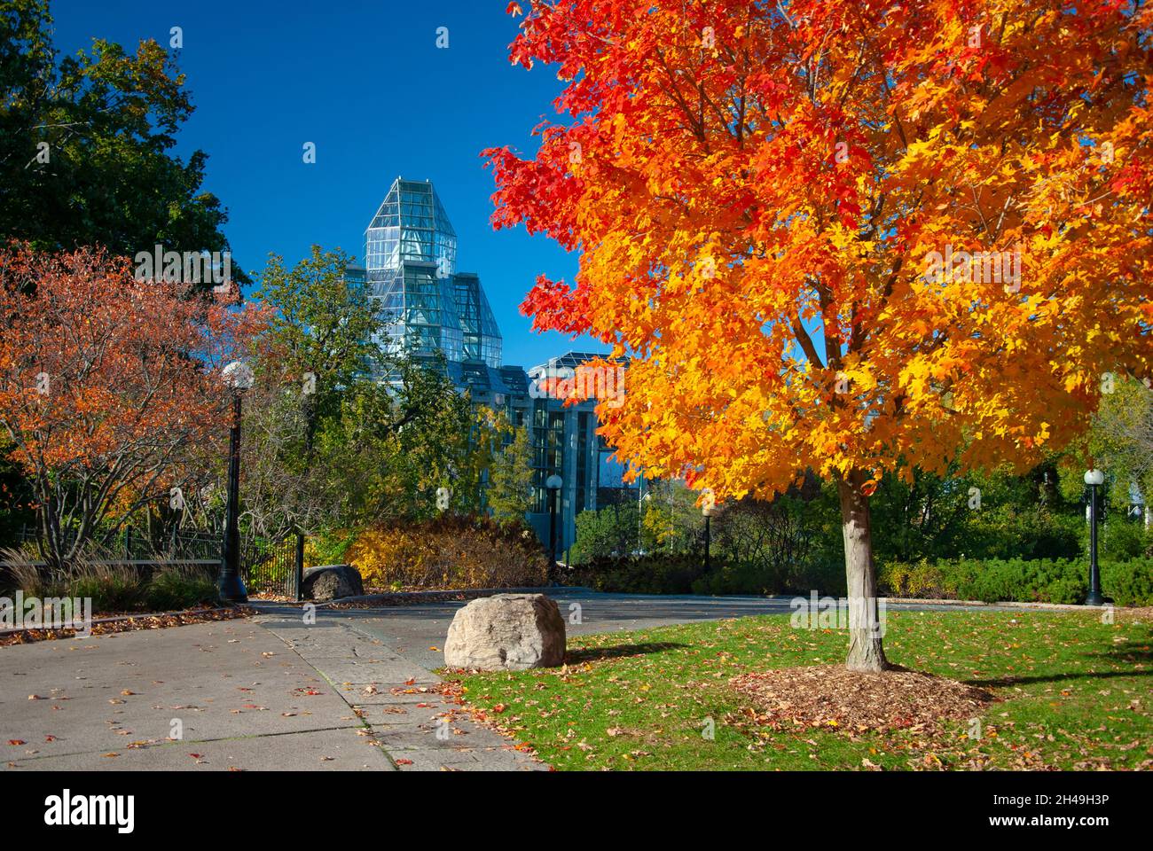 Major's Hill Park with Close up View of Tree in Fall Colours and ...