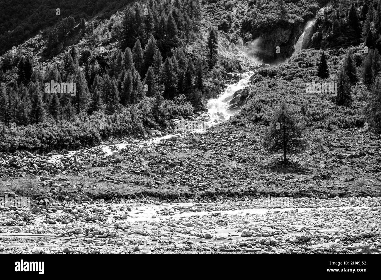Wild alpine waterfall on mountain stream Stock Photo