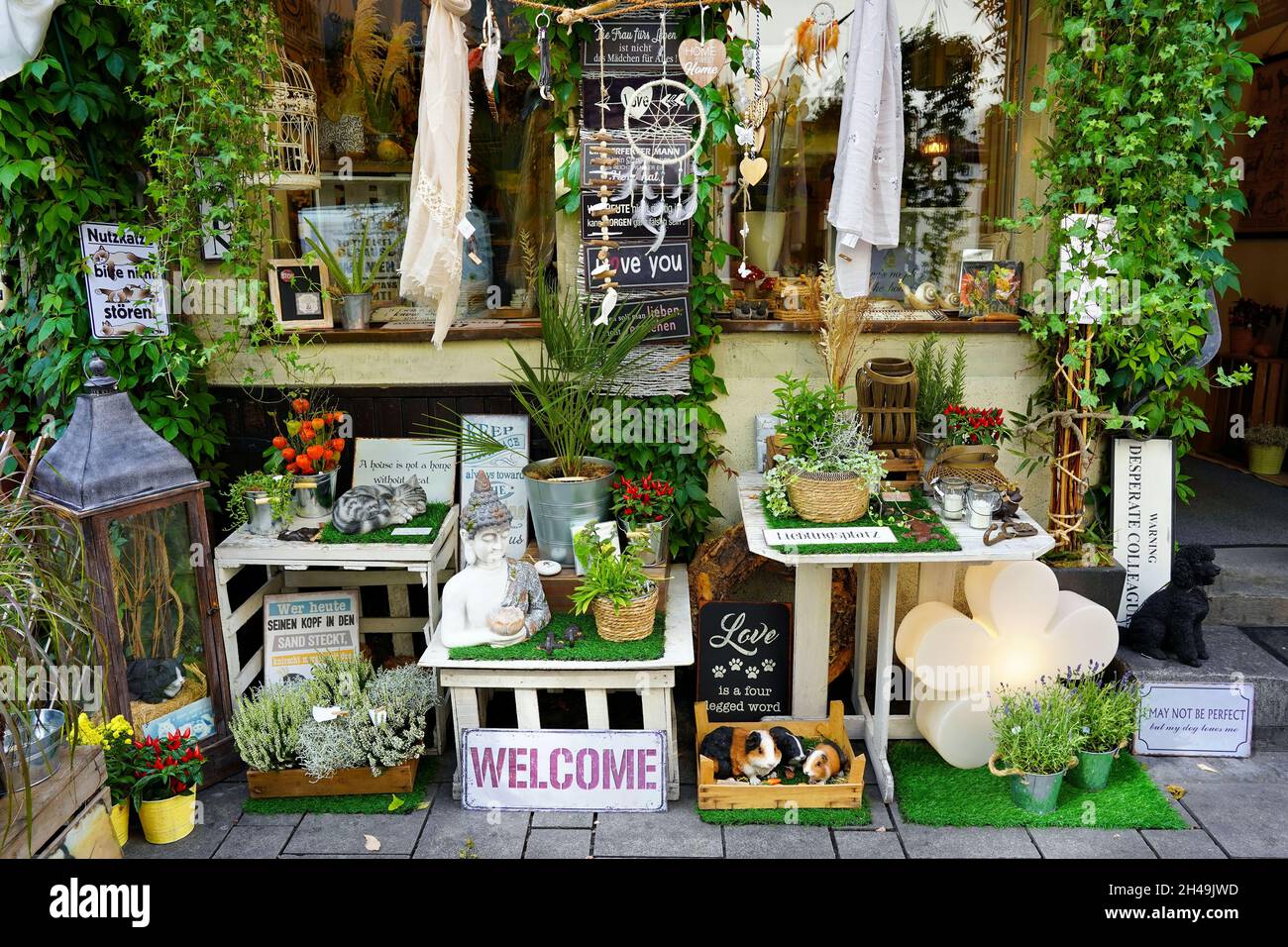 Beautiful display of Blumen-Galerie Schneiders in the popular tourist destination Old Town. A typical local store for flowers and home decoration. Stock Photo